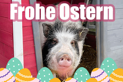 Frohe Ostern 500px