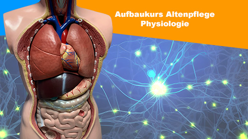 Aufbaukurs Altenpflege Physiologie 2 500px