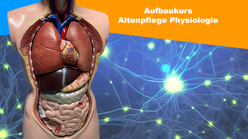 Aufbaukurs Altenpflege Physiologie 2 500px2