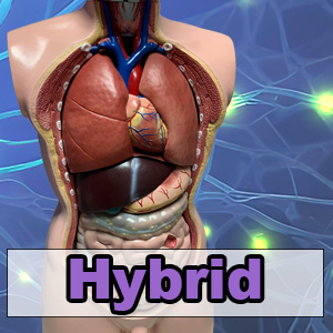 Modul: Aufbaukurs Altenpflege Physiologie