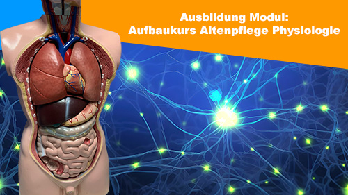 Ausbildung Modul Aufbaukurs Altenpflege Physiologie 2 500px