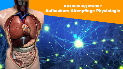 Ausbildung Modul Aufbaukurs Altenpflege Physiologie 2 500px2