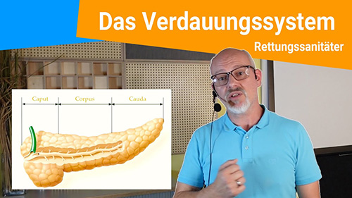 Das Verdauungssystem 500px