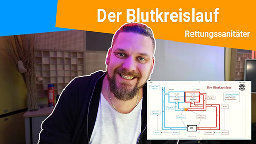 Der Blutkreislauf 500px
