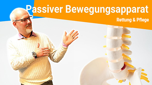 Der passive Bewegungsapparat was gehort dazu 2 500px