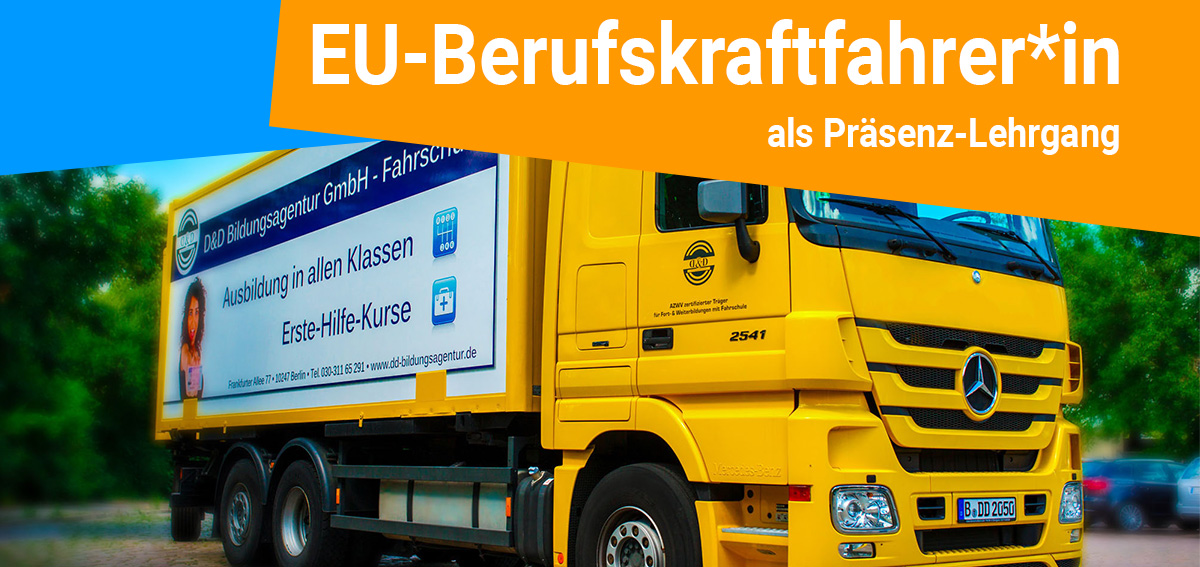 EU-Berufskraftfahrer*in