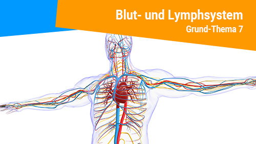 Grund Thema 7 2 500px