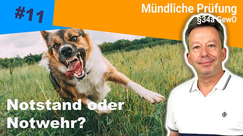 Notwehr oder Notstand mogliche Fragen in der mundlichen Prufung 2 500px