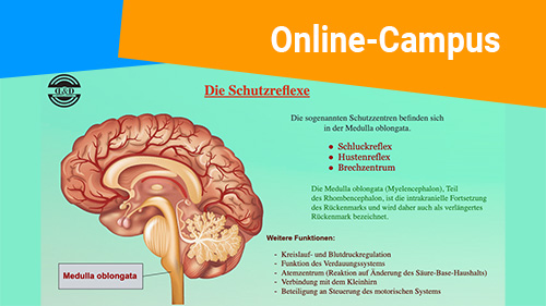 Online Campus 2 500px4