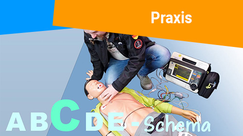 Praxis 2 500px4
