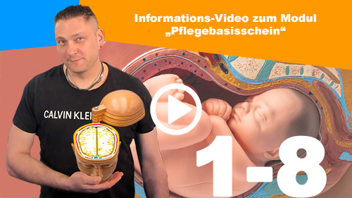 Vorstellung der Grund Themen Modul Pflegebasisschein 2 500px