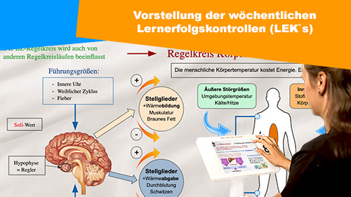 Vorstellung der wochentlichen Lernerfolgskontrollen 2 500px2